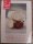 Freebie: reddirect, Red Direct-jewellery, accessories, children�s toys