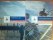 Freebie: Rabobank, Free Financial Reports