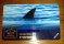 Freebie: paulshark, Welcome to the Paul&Shark Club!
Membership brings