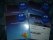 Freebie: sim1, 