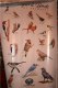 Freebie: agfc, Free Birds of Arkansas Poster