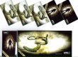 Freebie: amd, free promotions