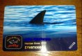 Freebie: paulshark, Welcome to the Paul&Shark Club!
Membership brings