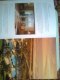 Freebie: Ritzcarlton, Free brochure about hotels Ritz Carlton.