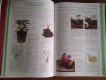 Freebie: newsletters, free book