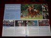 Freebie: wolfgangsee, wolfgangsee katalog