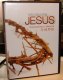 Freebie: thisisyourbible, Introducing Jesus (DVD)
