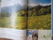 Freebie: landal, 