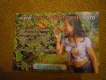 Freebie: sanya-apartments, free membership card 