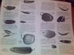 Freebie: Ecoseeds, Black-and-white free catalogue of seeds for a kitc