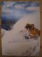 Freebie: Skilaketahoe, Usual such magazine, not so is a lot of pictures, 