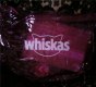 Freebie: whiskas, 