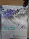 Freebie: glaciermt, free Glacier Country Travel guide