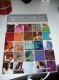 Freebie: patternworks, Free Catalog