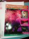 Freebie: newport-news, FREE printed version of the new Newport News Visit