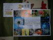 Freebie: , 