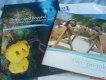 Freebie: Divecayman, free brochures