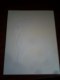 Freebie: Backcountry, Free stickers eh