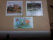 Freebie: regenwald-schuetzen, 