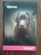 Freebie: bemoredog, 