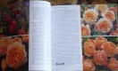 Freebie: davidaustinroses, Free Catalogue
