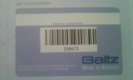 Freebie: baltz, 