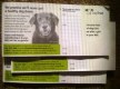 Freebie: dogstrust, free dog materials