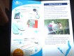 Freebie: scharmuetzelsee, 