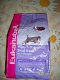 Freebie: bemoredog, 