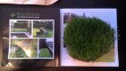 Freebie: resigrass, 