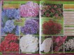 Freebie: rosebarni, free catalog