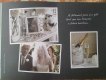 Freebie: houseoffraserweddinglist, free brochure
