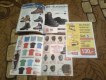 Freebie: bergfuchs, free catalog of sport clothers