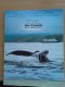 Freebie: un-cruise,