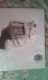Freebie: taurususa, Free TAURUS CATALOG