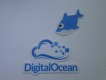 Freebie: stickers, 