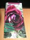 Freebie: lacon-rosen, Free rose brochure