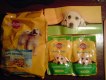 Freebie: Pedigree, 