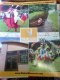 Freebie: travelwisconsin, free map or travel brochure