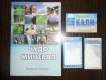 Freebie: calm, 