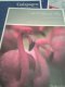 Freebie: noble-caledonia, Brochure & DVD
