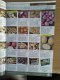 Freebie: organiccatalogue,