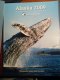 Freebie: Cruisewest, FREE DVD and brochures