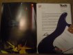 Freebie: techmusicschool, free brochure