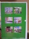 Freebie: holidaycottages, 