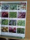 Freebie: organiccatalogue,