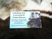 Freebie: visitgalesburg, Free Galesburg Visitors Guide 