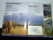 Freebie: acacia-africa, 