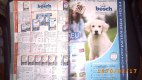 Freebie: zajac, free catalog