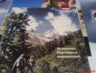 Freebie: tirol, 